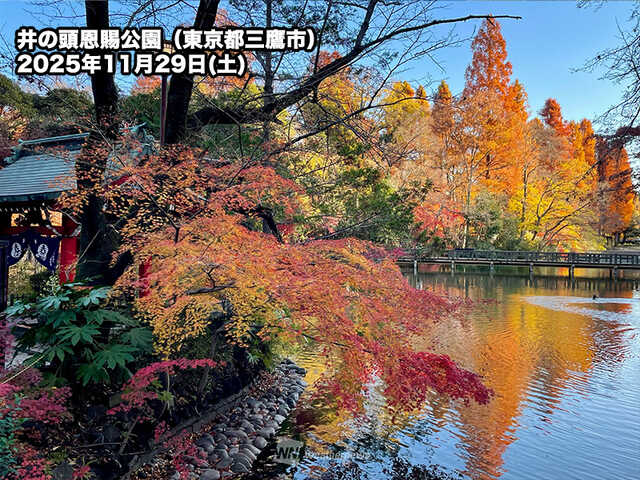 青空に見頃の紅葉が映える 明日も紅葉狩りの絶好のチャンス|au Web