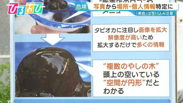 タピオカ信者  ④⑨⑯ 生タピオカ｜もちもち食感の本格タピオカを業務用価格で｜FOODBOAT by
