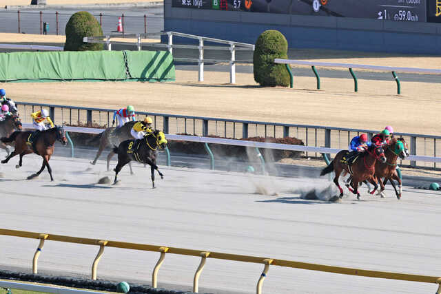 並んでるの笑った」「たたき起こされて」珍名馬対決はイッテ