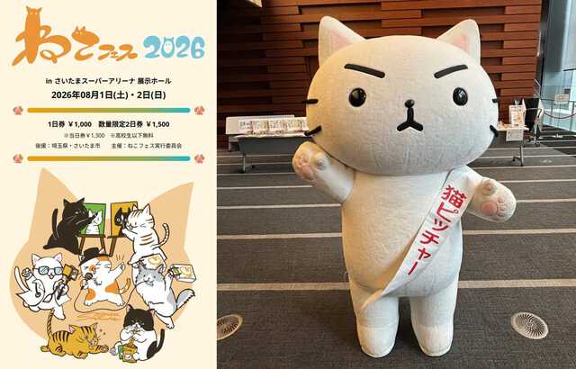 なにぬねこさま専用 獣医師監修の体験型猫イベント「ねこフェス2026」に参加します