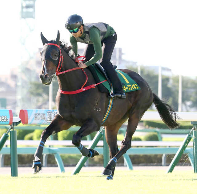 スプリンターズS】香港馬15年ぶりV狙うG1・4勝馬