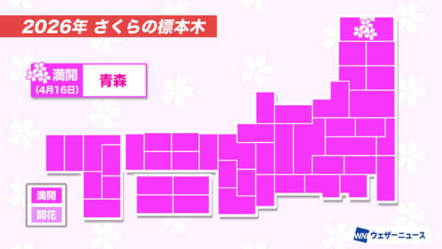 今日の桜開花状況 4月16日(木) 青森で満開発表|au Webポータル国内ニュース