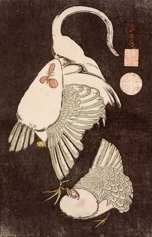 35年ぶり！ 北斎、広重、若冲らの花鳥版画163点が里帰り『ロック