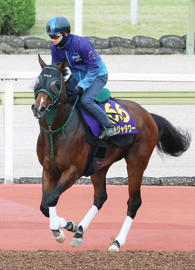 ダービージョッキー 安田記念・山下が見た】「ロブ」の次は「おぱんち」！ダービー