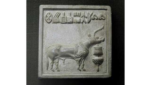 古代インダス文明　コブ牛　箱付き　S２２ー３ インダス文明の古代文字、解読できたら1億5000万円もらえます|au Web
