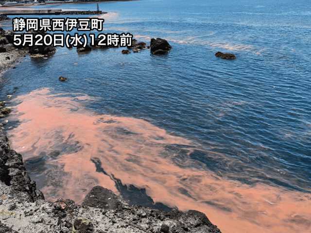 【大】海辺の潮風と太陽で天然エイジングされた無垢古木を使った壁掛けミラーNO.1 大】海辺の潮風と太陽で天然エイジングされた無垢古木を使った壁掛け