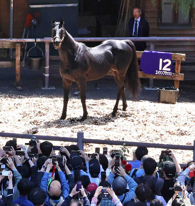 【期限切れ単勝馬券】　日本ダービー　2010 エイシンフラッシュ　ウマ娘 2010年のダービー馬エイシンフラッシュに人だかり 東京競馬場で