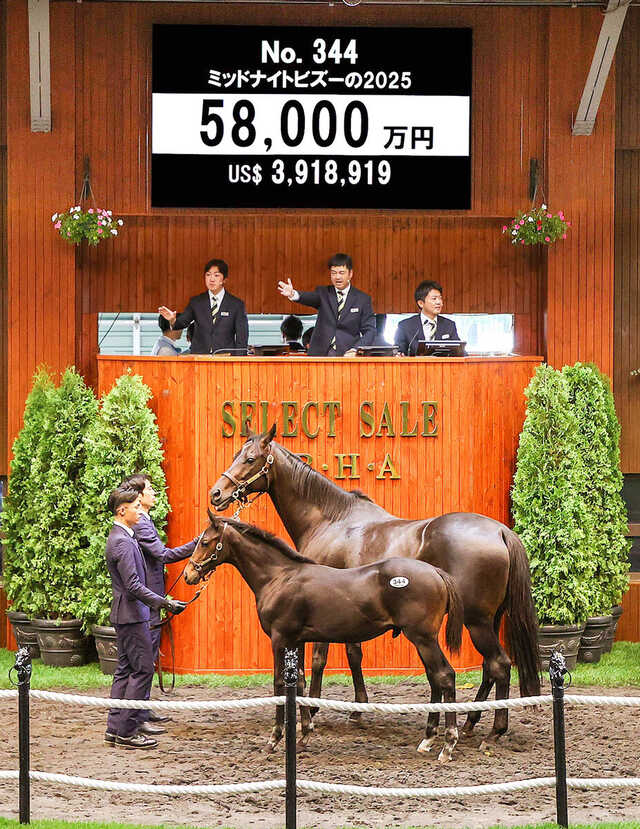 競馬　ポスター　イクノイックス　セール Amazon.co.jp: 優駿 11月号 ポスター イクイノックス
