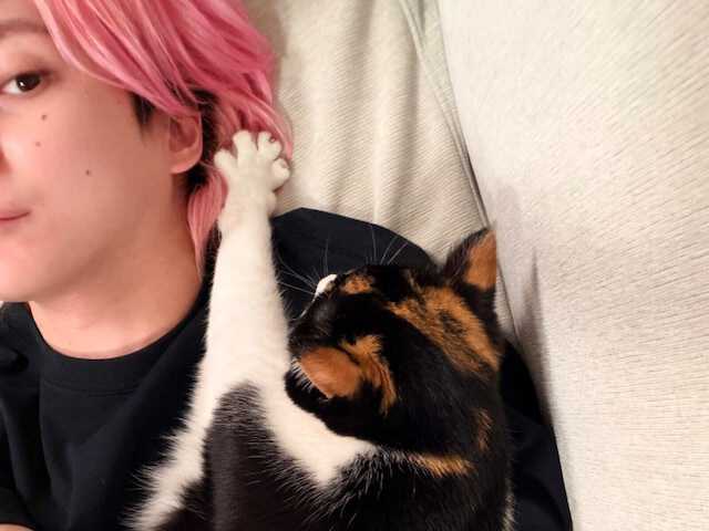 最終値下げ！佐久間大介さん着用　ラバーボーイ猫耳ビーニー 最終値下げ！佐久間大介さん着用 ラバーボーイ猫耳ビーニー 最終値下げ