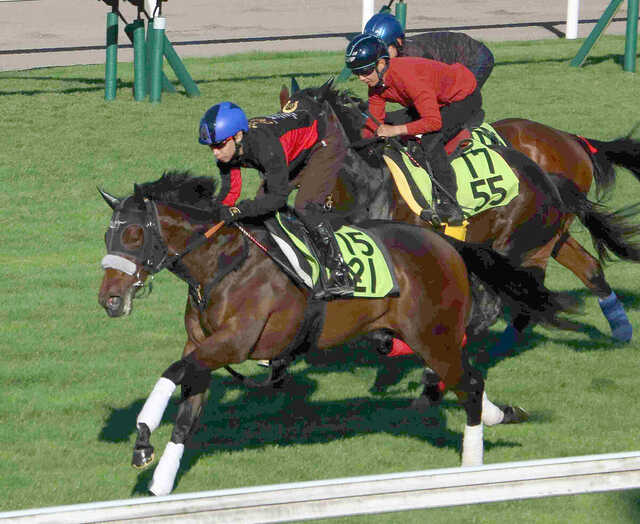 函館2歳S】初陣で函館芝1000メートルをレコード勝ち