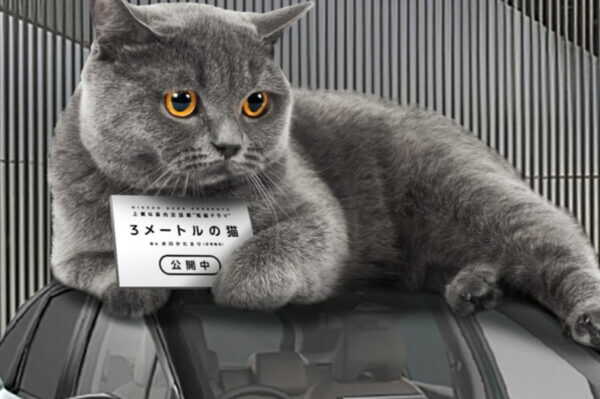銀座に出現！ クルマの上に寝そべる“3mの猫チャン”が話題に デカすぎ