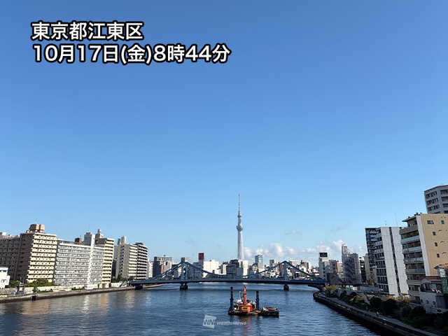 晴天さま T*k様 シャドウバースエボルブ 晴天の銀騎士 エミリア SP おまけ