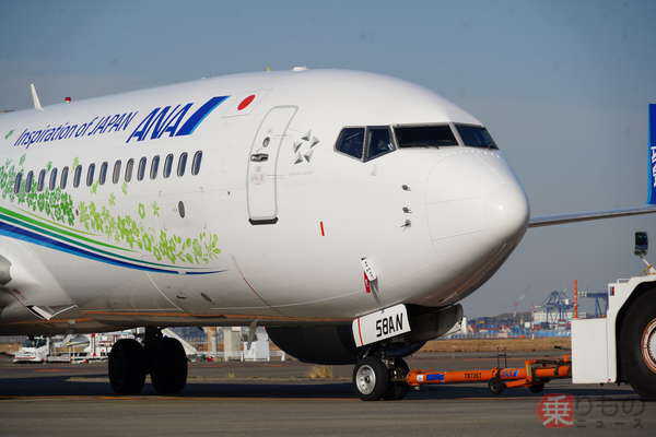 ANAに「新たな特別塗装機」出現 その“凝りすぎた”デザインの全容とは