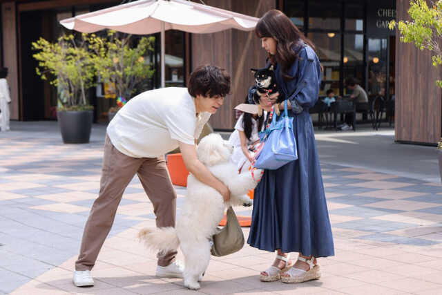 清原果耶×成田凌×ナ・イヌが織りなす“こじらせ大人”のラブ