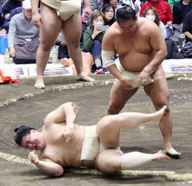 横綱 豊昇龍 フィギュア 番付表付き 豊昇龍】横綱力士フィギュア - 相撲銘品館