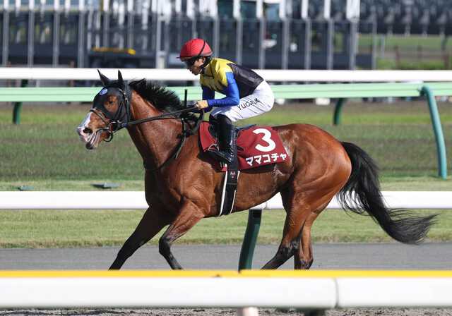 ⑨◆ 競馬 JRA ◆ ママコチャ ◆ スプリンターズS ◆ 2種類セット ◆ 注目馬動向】ママコチャはセントウルSあたりで始動から2年ぶり