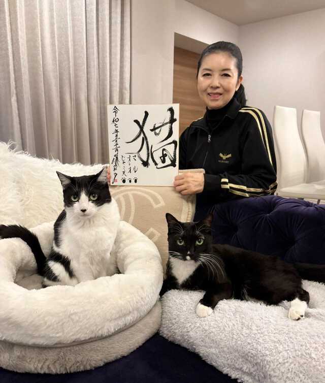 ねこ 】藤あや子さん選定「今年の漢字」は「猫」 今年は「じゃこ天」も