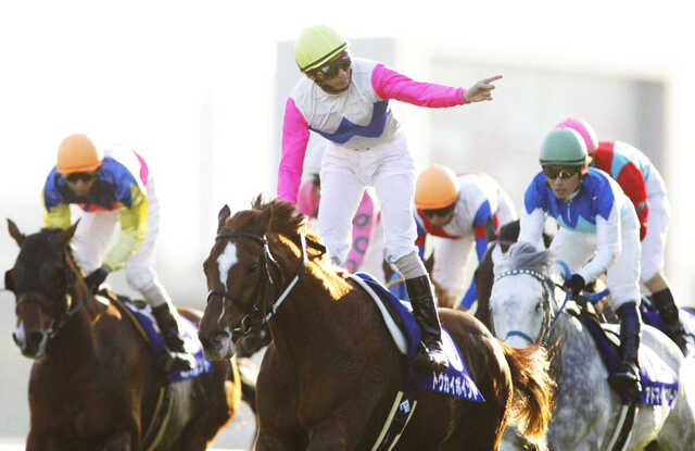 天国で父ちゃんに褒めてもらって」トウカイテイオー産駒トウカイ