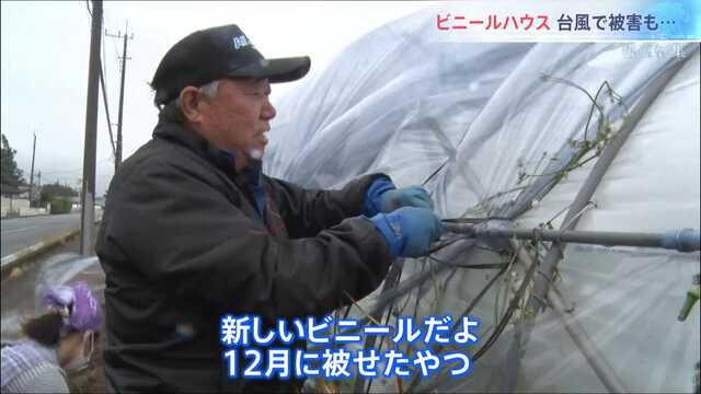辞める背中を押される」“農業離れ” 懸念の声 肥料や燃料の高騰と資材
