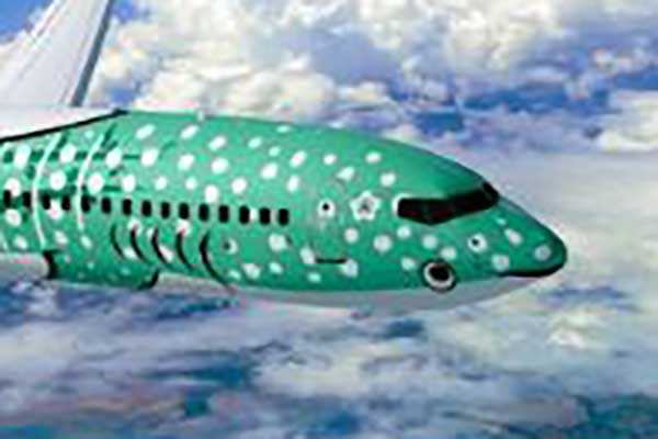 JALグループ「沖縄の翼」の”スゴい特別塗装機”ついにデビュー！ 「この