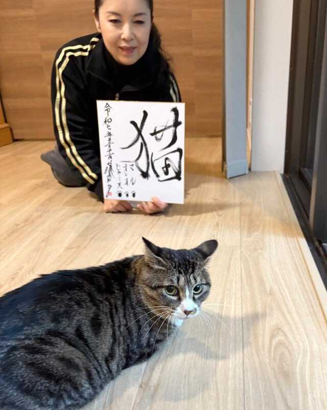 ねこ 】藤あや子さん 10日に愛猫の〝ウチの子記念日〟 7年前の仔猫姿に