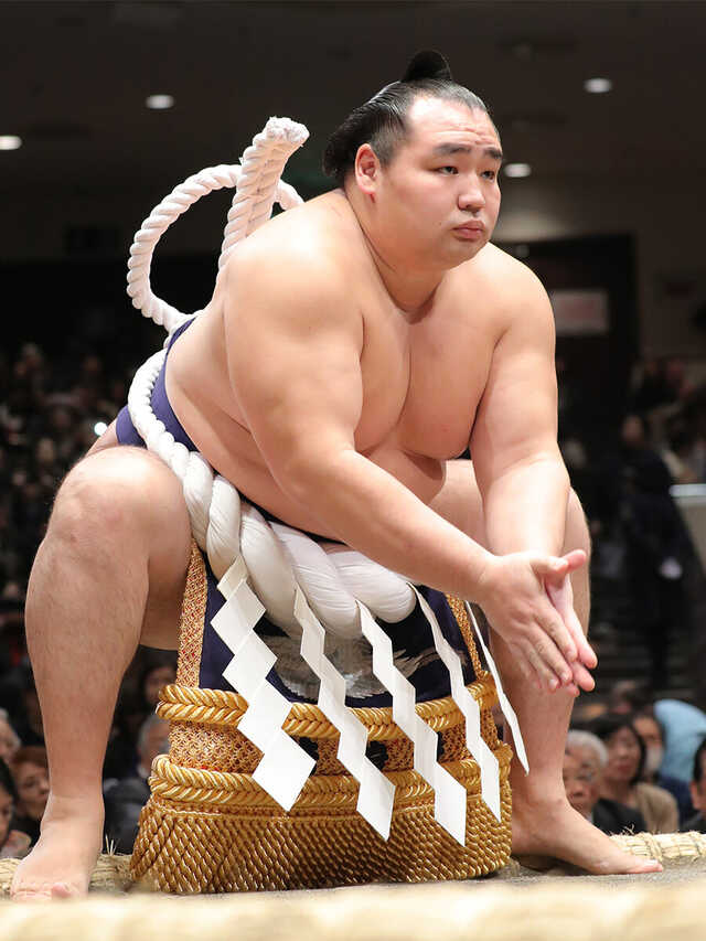 平成の名力士列伝：鶴竜】先輩とは異なる雰囲気を醸し出した4人目の