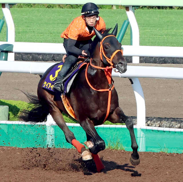 函館記念】武豊騎手で臨むディープインパクト産駒ケイアイセナは元気