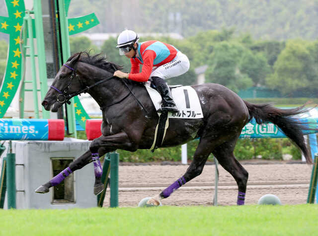 JRA必勝バイブル 奥村俊一の競馬赤本 希少本 JRA必勝バイブル 奥村俊一
