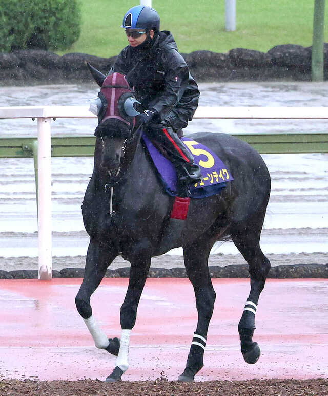 宝塚記念】ダービージョッキー松山弘平騎手と挑むジューンテイクが