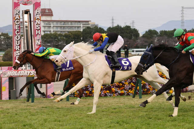 突然変異”で始まった白毛一族で初のG1制覇！世界を魅了したアイドル