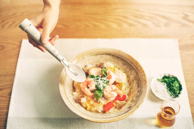 減塩対策に☆キリン エレキソルトスプーン 美品 キリン、電気の力で