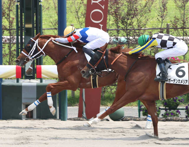 G1を勝ったみたい」Mデムーロ騎手が京都7Rでアメリカから帰国後初