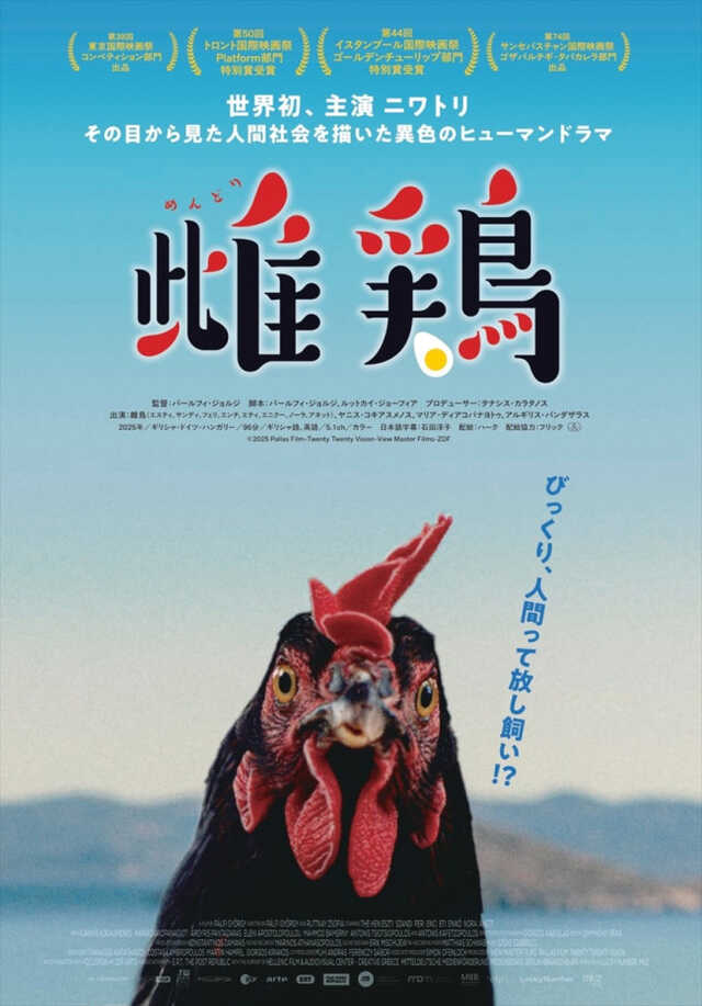 世界初！ 主演ニワトリ 鬼才パールフィ・ジョルジ監督最新作『雌鶏