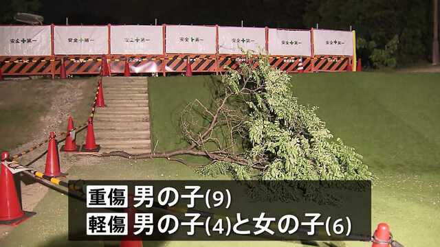 枝落下で子ども3人重軽傷 京都|au Webポータル国内ニュース