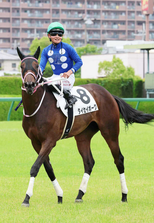 新潟2歳S】タイセイボーグがインディチャンプ産駒初の重賞制覇