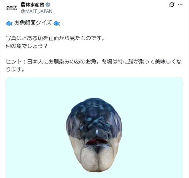 農林水産省「お魚顔面クイズ」にSNS「分からない」「顔がなかなかいかつい」|au Webポータルコネタニュース