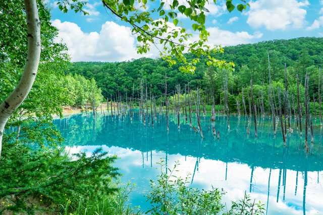 北海道で絶景に出合おう！おすすめのスポット20選|au Webポータル