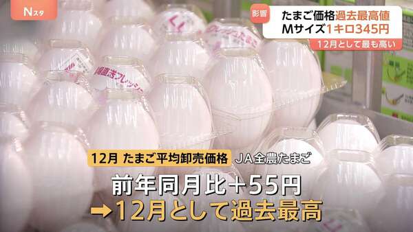 専用如玉在銘　極上籠売り商人929g/高さ約26㎝　東Y7-0807⭐︎2Fトコサ あの怪獣王が来襲！東京土産でお馴染みの「東京たまご ごまたまご」が