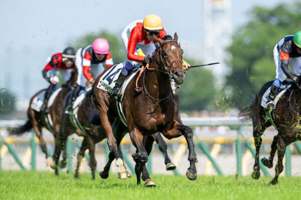 日本ダービー武豊騎手の“美しいジョッキーカメラ”映像が話題に
