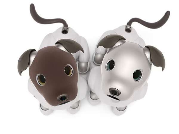 ソニー「aibo」国内販売終了へ|au Webポータル経済・ITニュース