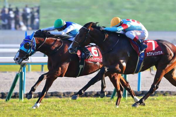 朝日杯FS】アドマイヤクワッズは474kg…出走馬の調教後における馬体重