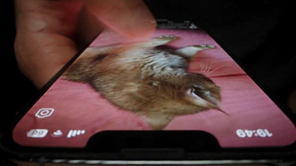 画像が削除されました