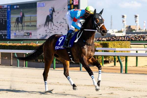 フェブラリーS】1番人気ダブルハートボンドは3着…坂井瑠「改めて力を