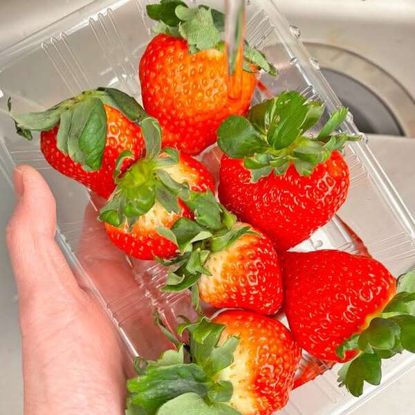 いちご食べるなら知らないと損！】旬のいちごを120%おいしくする魔法の