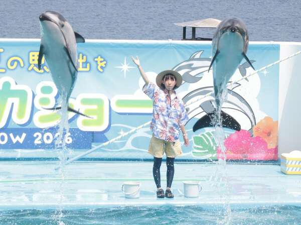イルカのお姉さん」デビュー のとじま水族館・森さん 小学校からの夢