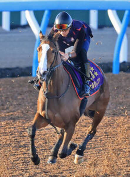 スペシャル特典 しらさぎS】G1・2勝馬チェルヴィニア参戦も意外な混戦ムード その他