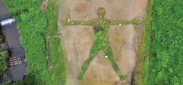 薬草で描く"人体地図" アート×薬草×地域文化の新プロジェクト