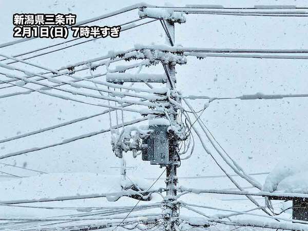 日本海側は今日も大雪に注意 青森では近年にない積雪に|au Webポータル