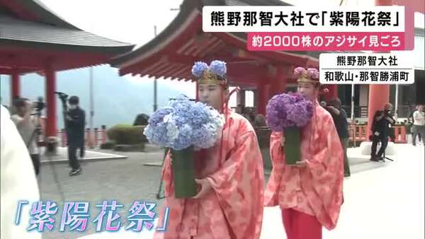 紫陽花祭で感じる世界遺産の魅力