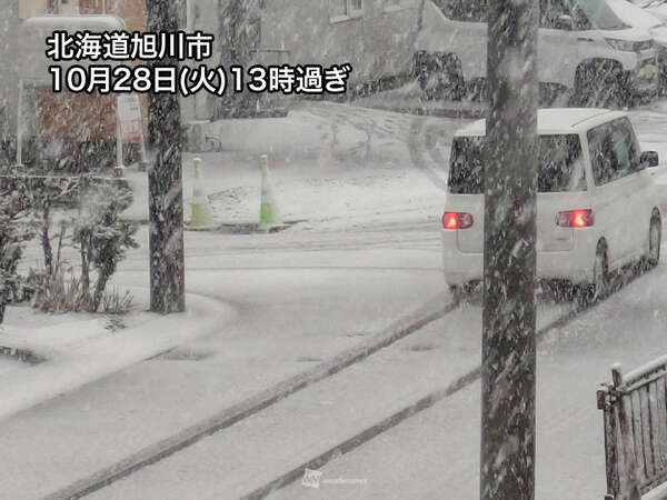 【半額】北海道野球の真髄 旭川工業  積雪1mマイナス20度でもここまでできる ジャパンライム 北海道野球の真髄 旭川工業 佐藤桂一 771-S 全2巻